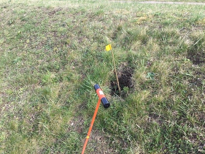 Gravende honden maken dijken kapot - Foto: Eigen geleverde foto