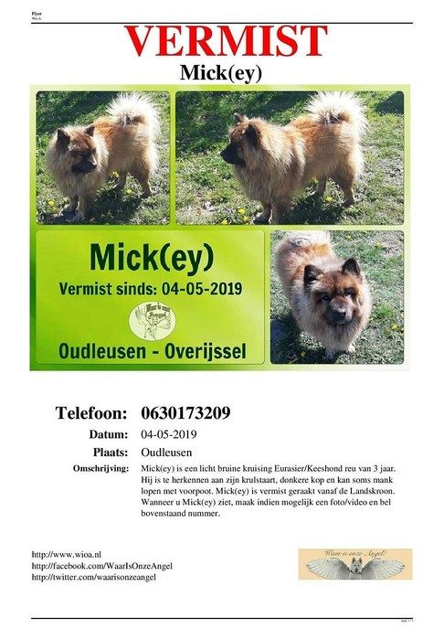 Vermissing Mickey - Foto: Eigen geleverde foto