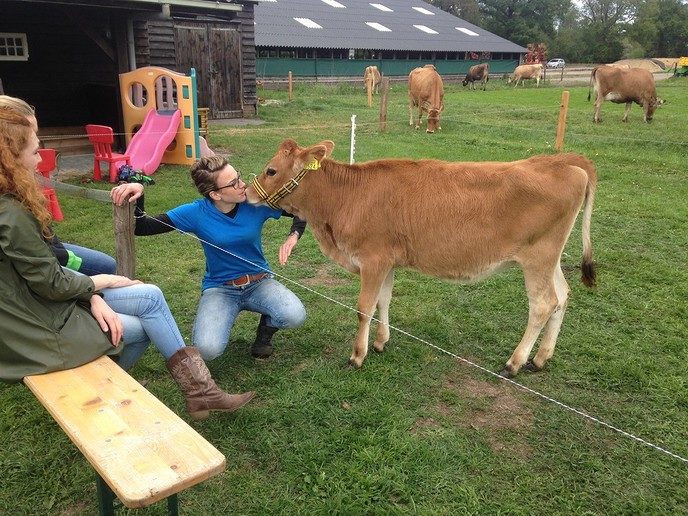 Alweer een kusje - Foto: Eigen geleverde foto