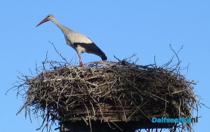 Het blijft genieten langs de Emmertochtsloot - Foto: Wim