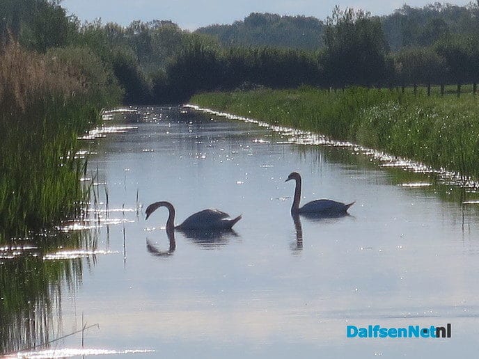 Het blijft genieten langs de Emmertochtsloot - Foto: Wim