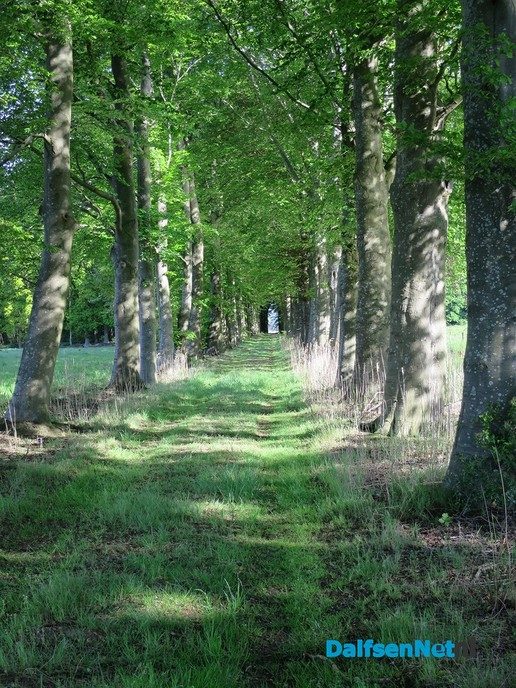 Het blijft genieten langs de Emmertochtsloot - Foto: Wim