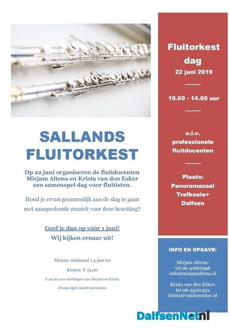 Sallands Fluitorkest Dag in Dalfsen - Foto: Ingezonden foto