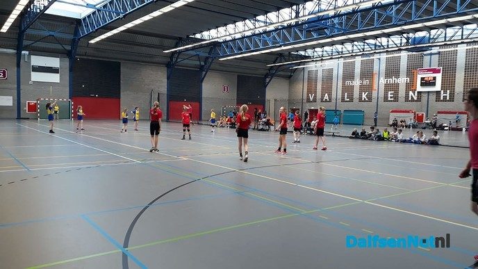 Meiden van de Polhaar door naar het NK Schoolhandbal - Foto: Ingezonden foto
