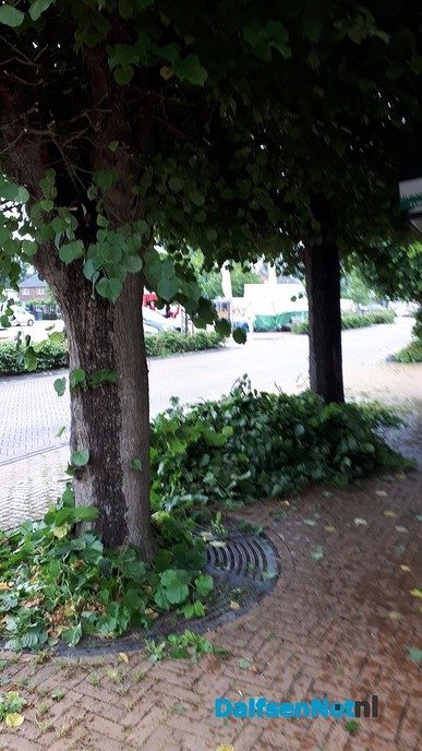 Snoeiwerkzaamheden Kerkstraat Lemelerveld - Foto: Ingezonden foto