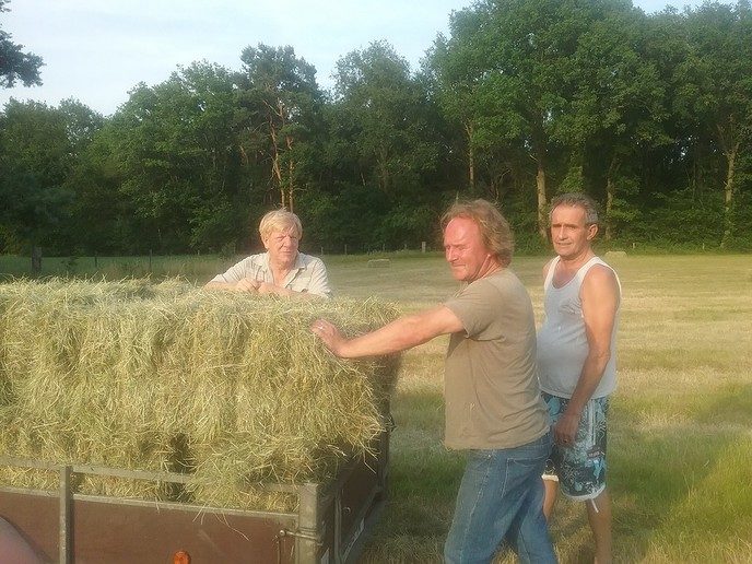 Hooiweer - Foto: Eigen geleverde foto