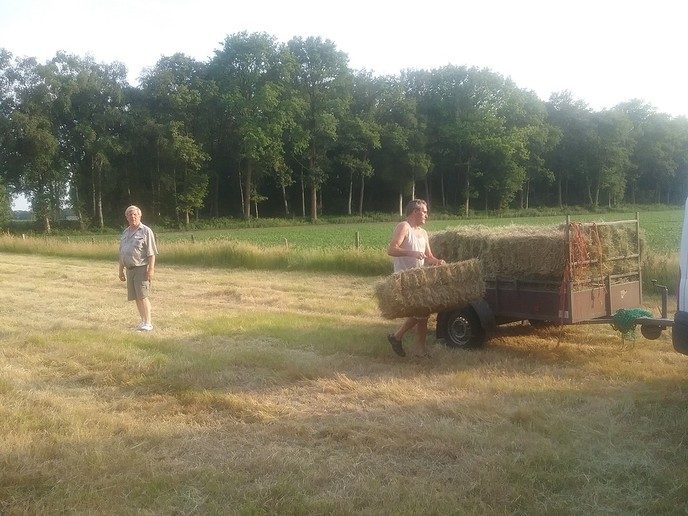 Hooiweer - Foto: Eigen geleverde foto