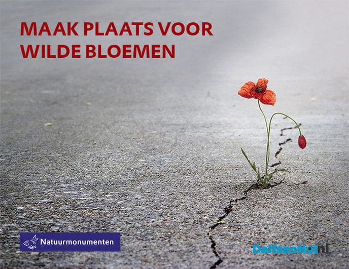 Collecteren om ruimte te maken voor wilde bloemen - Foto: Ingezonden foto
