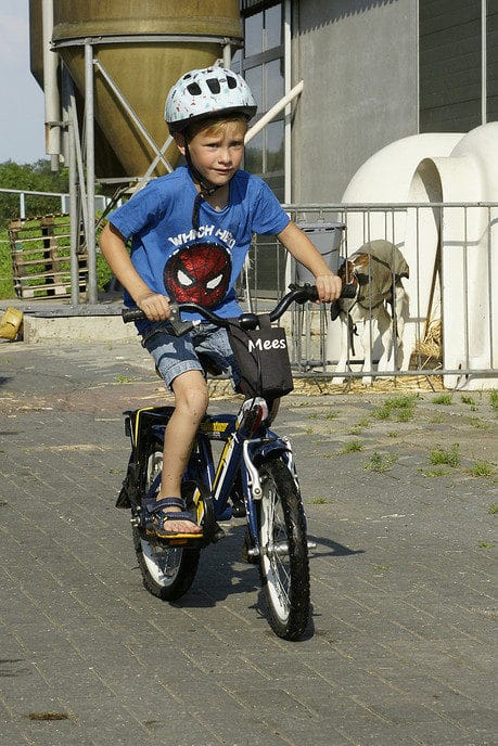 Fiets3daagse dag 2 - Foto: Paul Scholten