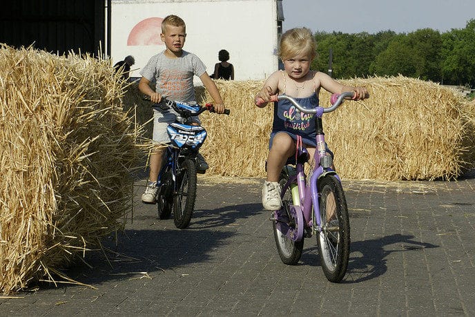 Fiets3daagse dag 2 - Foto: Paul Scholten