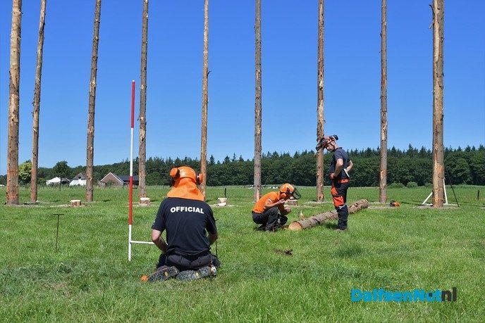Ongekend spektakel op het Sproeifeest - Foto: Johan Bokma