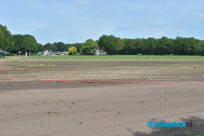 Zelf aardbeien plukken tijdens open dag Tuinderij van der Kolk - Foto: Johan Bokma