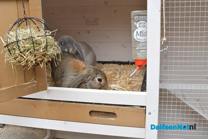Het Avontuur biedt ruimte aan verandering - Foto: Johan Bokma