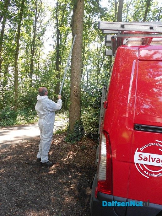 Nu veel werk voor de plaagdier beheersers