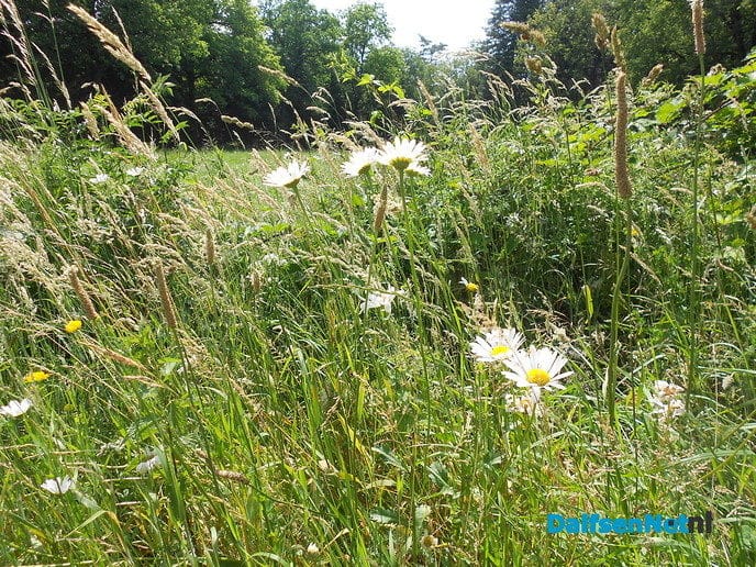 Veel biodiversiteit