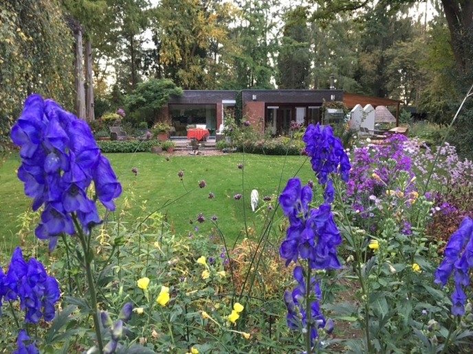 Open tuindagen groei en bloei - Foto: Eigen geleverde foto
