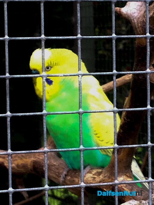 Het zomert op natuurboerderij Lindehoeve - Foto: Ingezonden foto