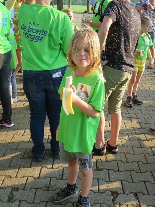 Wandel3daagse gestart met stralend wandelweer