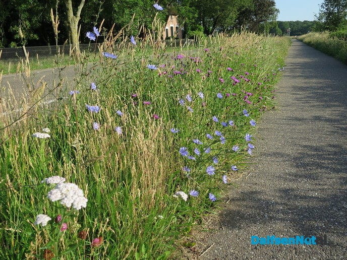 Nieuw groenbeleid een rijkdom voor de natuur - Foto: Wim