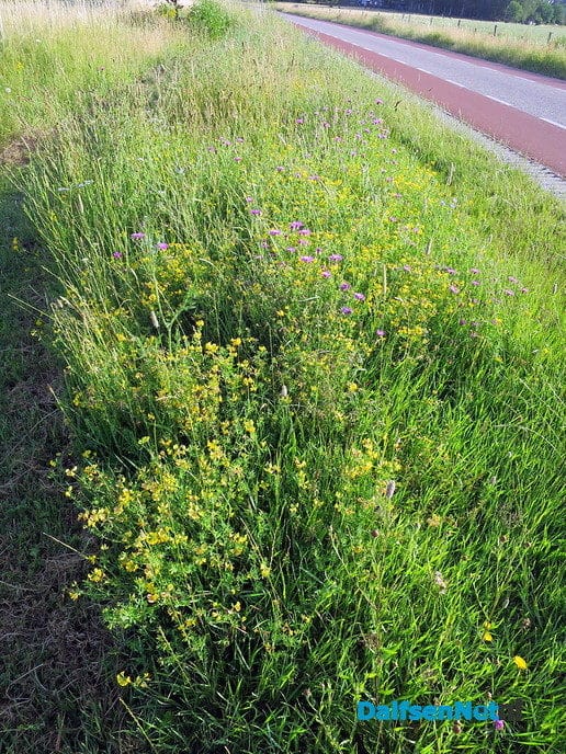 Nieuw groenbeleid een rijkdom voor de natuur - Foto: Wim