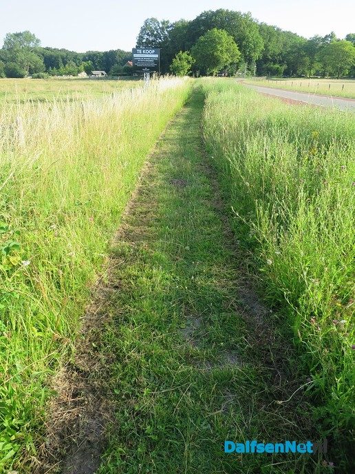 Nieuw groenbeleid een rijkdom voor de natuur - Foto: Wim