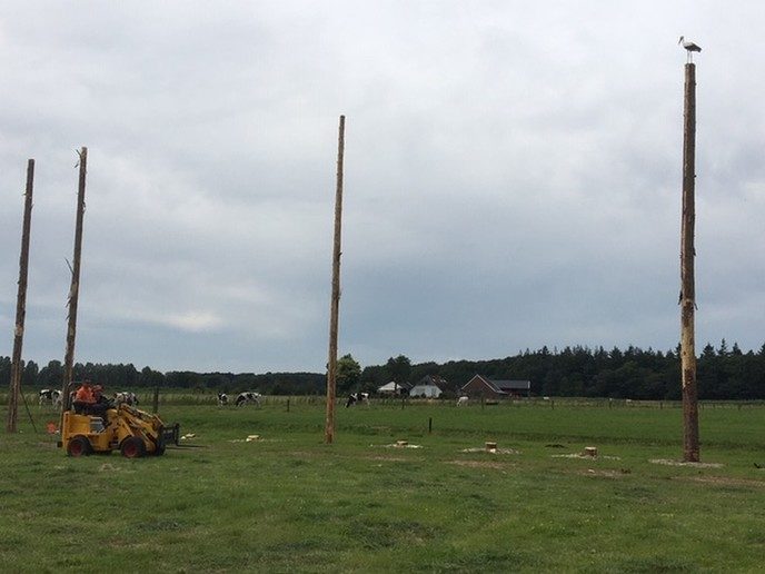Officiële NK- en EK-wedstrijd stilgelegd vanwege ooievaar - Foto: Ingezonden foto
