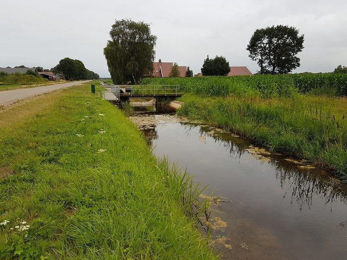 Waterschap: Update droogte - Foto: Eigen geleverde foto