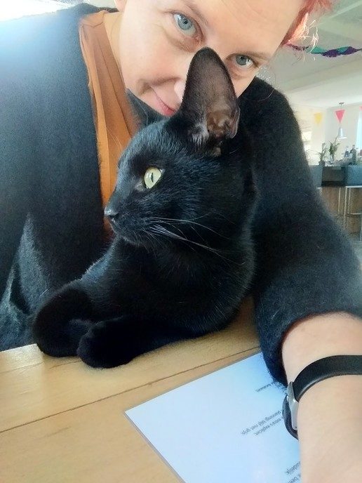  Zwarte kat vermist - Foto: Eigen geleverde foto