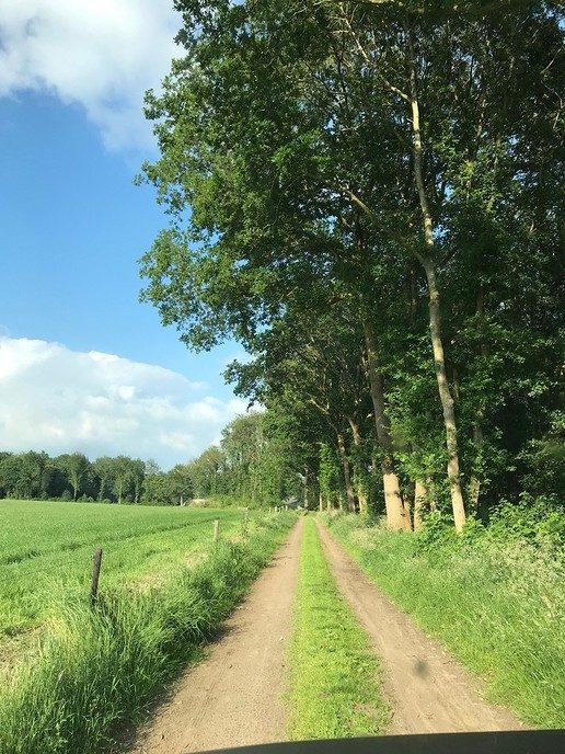 Brommerrit: Dalfser rijders mogen ook meedoen - Foto: Ingezonden foto