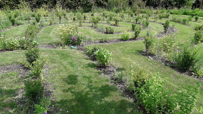Nu bij Decohof elke zaterdag pluk de dag! - Foto: Eigen geleverde foto