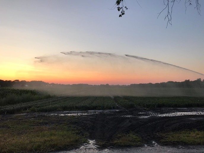 Droogte en het weer - Foto: Eigen geleverde foto