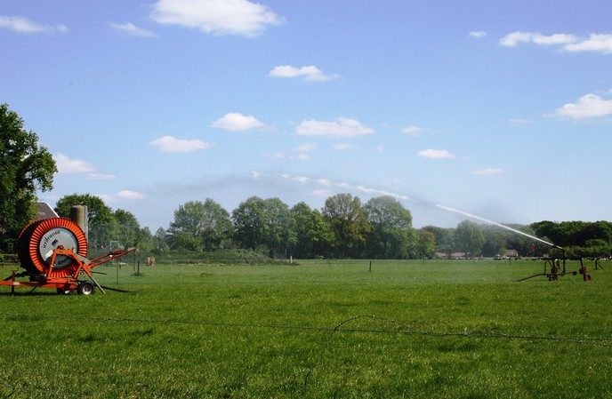 Update droogte: zonder regen neemt droogte toe - Foto: Eigen geleverde foto