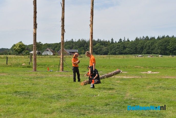 Een spectaculair en warm Sproeifeest 2019 - Foto: Johan Bokma