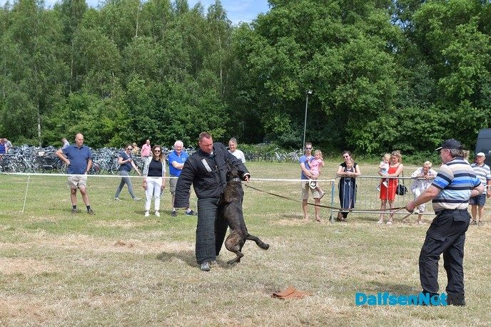 Een spectaculair en warm Sproeifeest 2019 - Foto: Johan Bokma