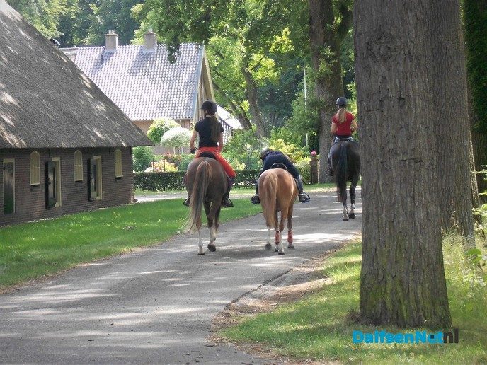 Wandelen in Vilsteren