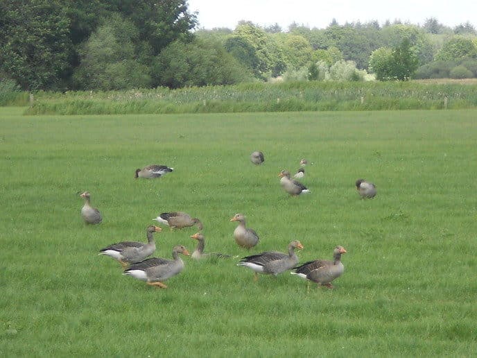 Natuurlijk ging de fiets richting de stuw