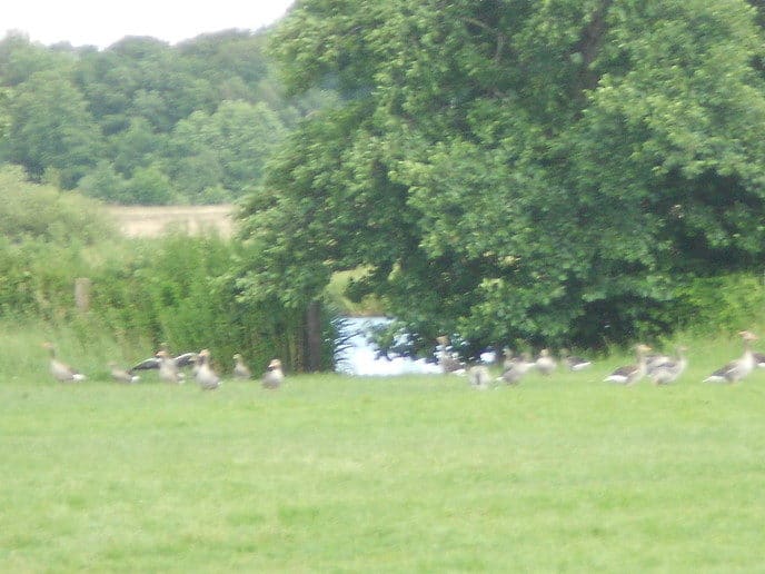 Natuurlijk ging de fiets richting de stuw