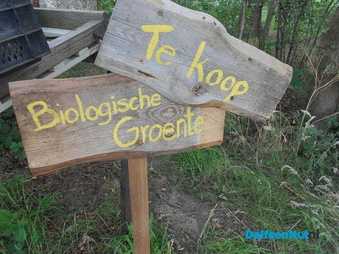 Vakantietijd: kraampjestijd