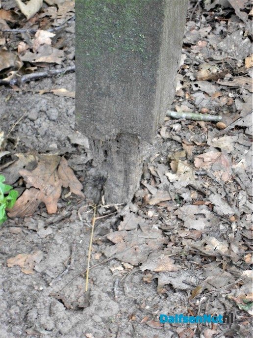 Houtrot fietsnetwerk palen