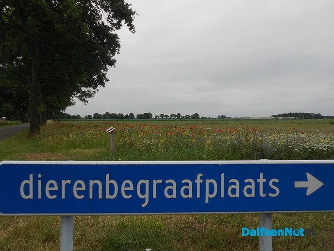 Veldbloemen-park op de Vennenberg