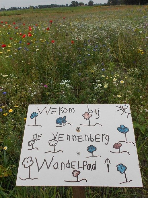 Veldbloemen-park op de Vennenberg