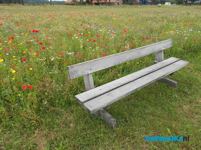 Veldbloemen-park op de Vennenberg