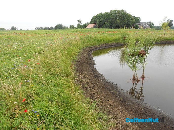 Veldbloemen-park op de Vennenberg