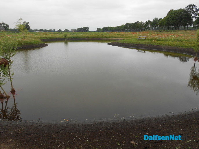 Veldbloemen-park op de Vennenberg