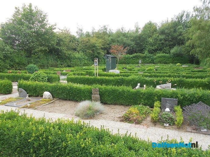 Veldbloemen-park op de Vennenberg
