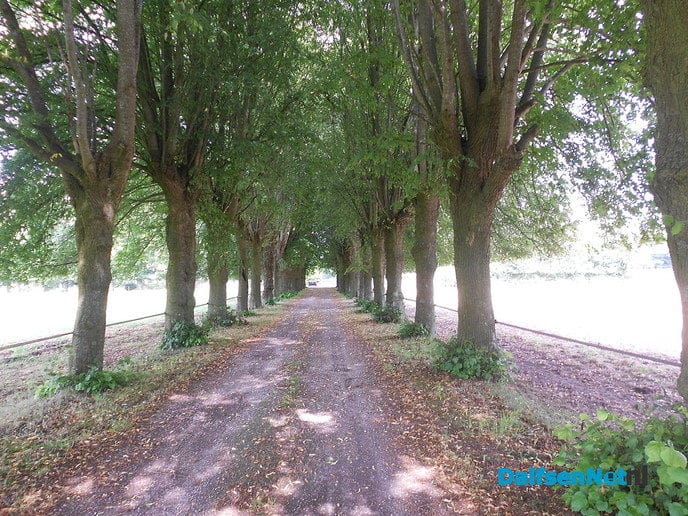 Prachtige paarden