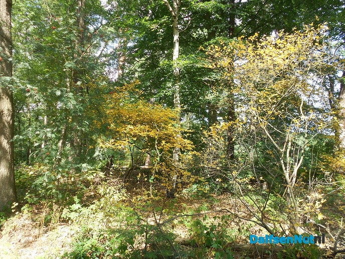 Slaat de herfst nu al in juli toe?