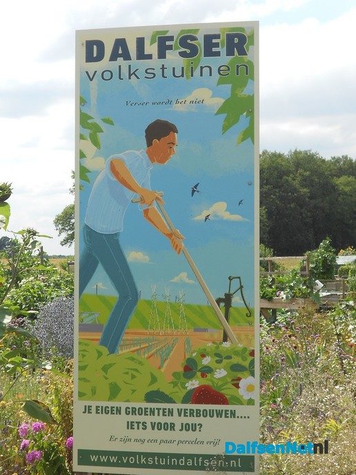 Je eigen groente verbouwen