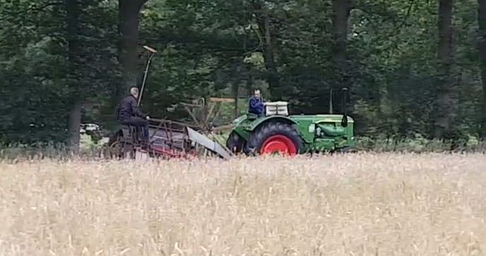 Graan maaien om te dorsen - Foto: Eigen geleverde foto