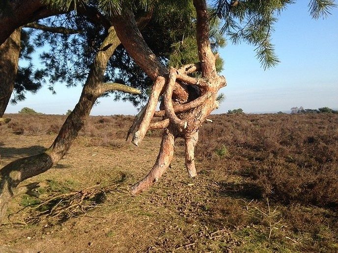 Op stap op de Lemelerberg